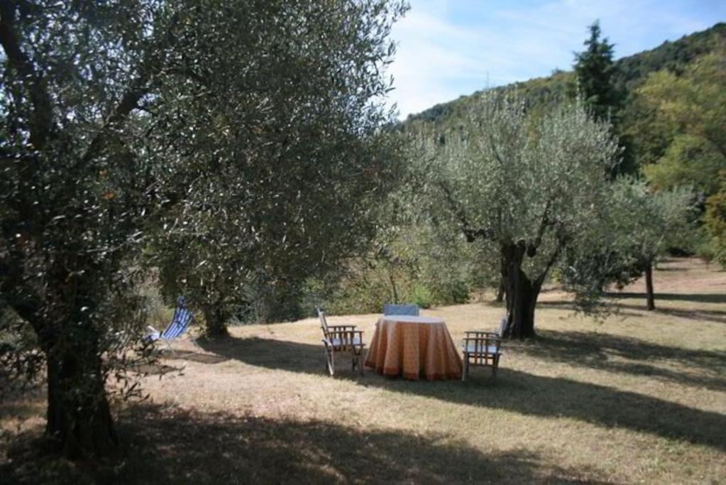 Podere Gli Oppi Toscana Villa Petroio Esterno foto